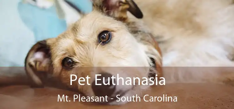 Pet Euthanasia Mt. Pleasant - South Carolina