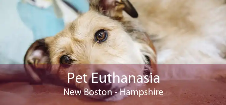 Pet Euthanasia New Boston - Hampshire