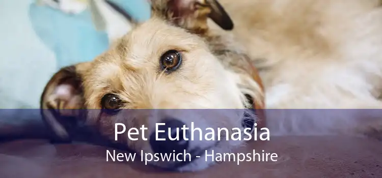 Pet Euthanasia New Ipswich - Hampshire