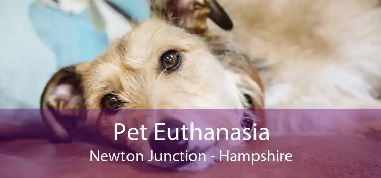 Pet Euthanasia Newton Junction - Hampshire