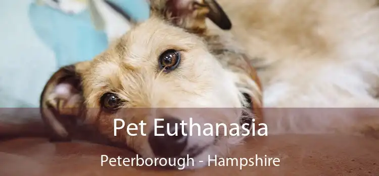 Pet Euthanasia Peterborough - Hampshire