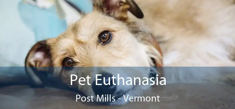 Pet Euthanasia Post Mills - Vermont