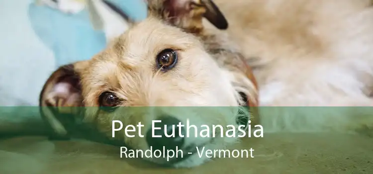 Pet Euthanasia Randolph - Vermont