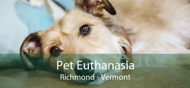 Pet Euthanasia Richmond - Vermont