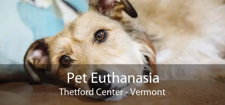 Pet Euthanasia Thetford Center - Vermont