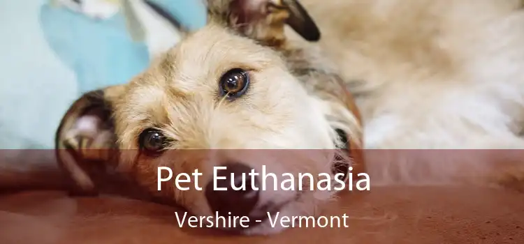 Pet Euthanasia Vershire - Vermont