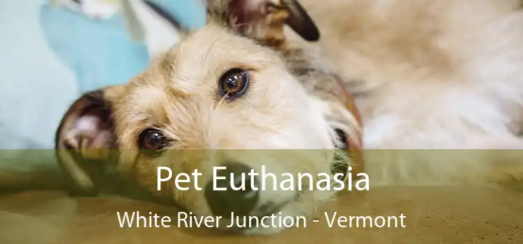 Pet Euthanasia White River Junction - Vermont