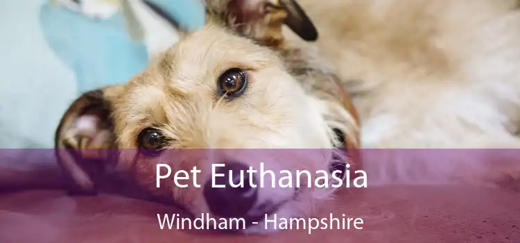 Pet Euthanasia Windham - Hampshire