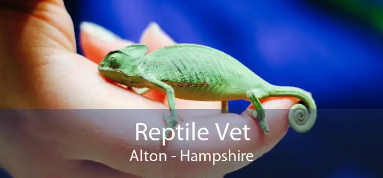 Reptile Vet Alton - Hampshire