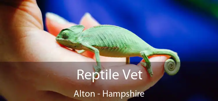 Reptile Vet Alton - Hampshire