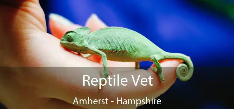 Reptile Vet Amherst - Hampshire