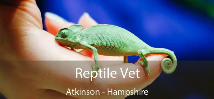 Reptile Vet Atkinson - Hampshire