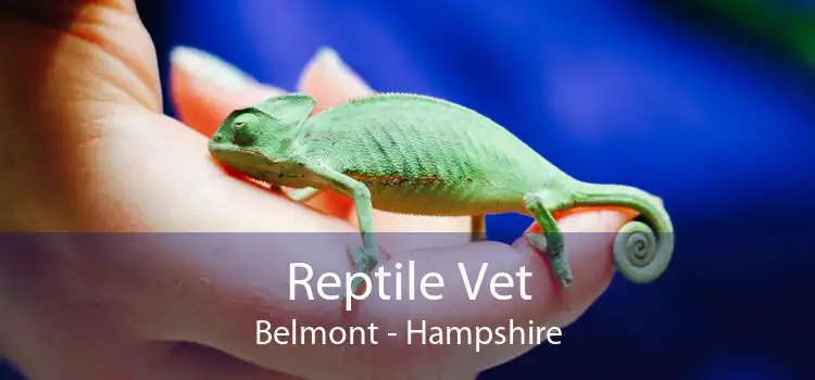 Reptile Vet Belmont - Hampshire