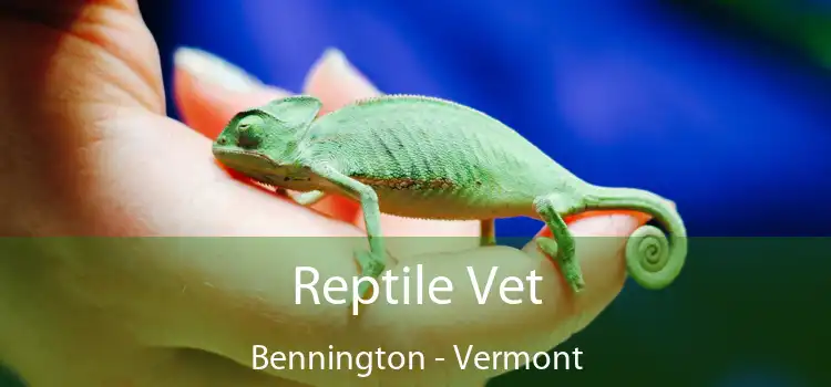 Reptile Vet Bennington - Vermont