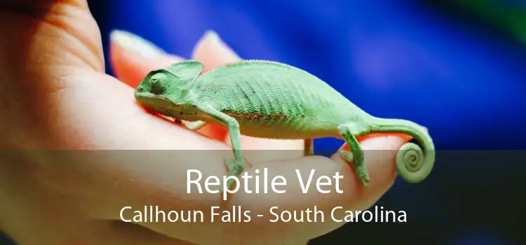 Reptile Vet Callhoun Falls - South Carolina