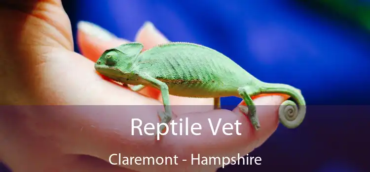 Reptile Vet Claremont - Hampshire