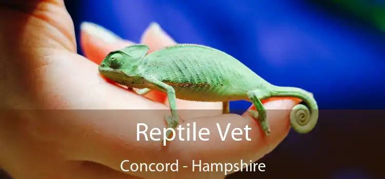 Reptile Vet Concord - Hampshire