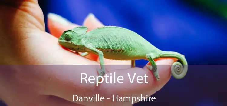 Reptile Vet Danville - Hampshire