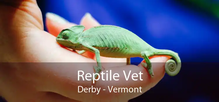 Reptile Vet Derby - Vermont