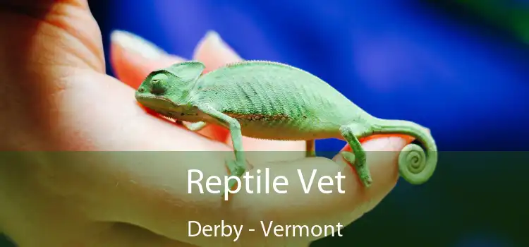 Reptile Vet Derby - Vermont