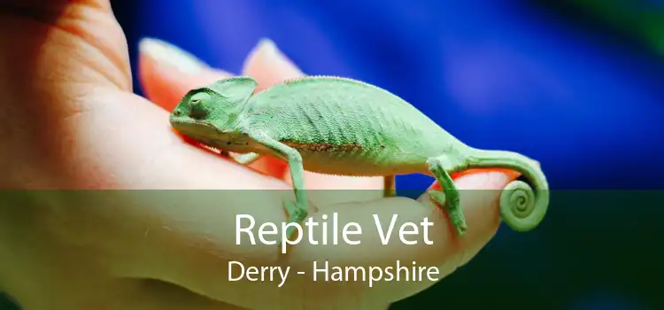 Reptile Vet Derry - Hampshire