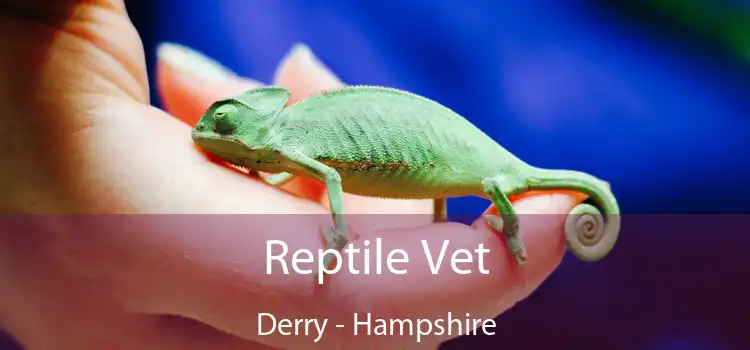 Reptile Vet Derry - Hampshire