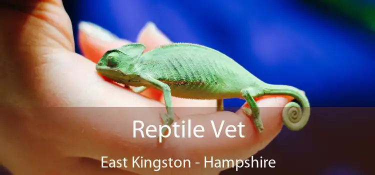 Reptile Vet East Kingston - Hampshire