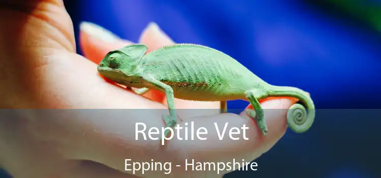 Reptile Vet Epping - Hampshire