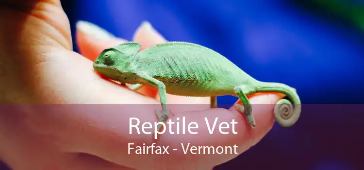 Reptile Vet Fairfax - Vermont