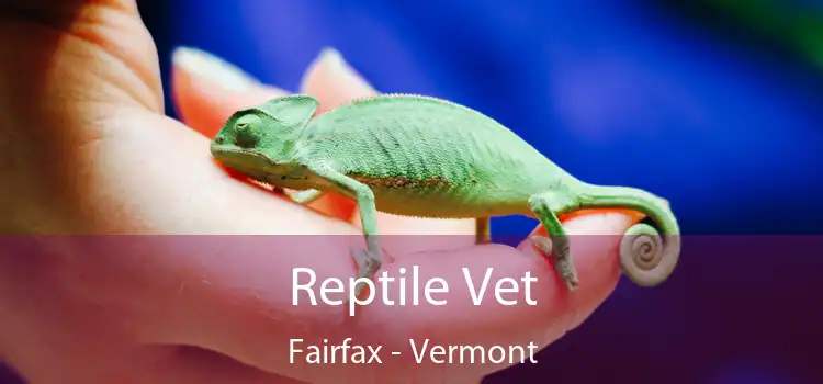 Reptile Vet Fairfax - Vermont