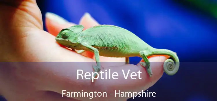 Reptile Vet Farmington - Hampshire