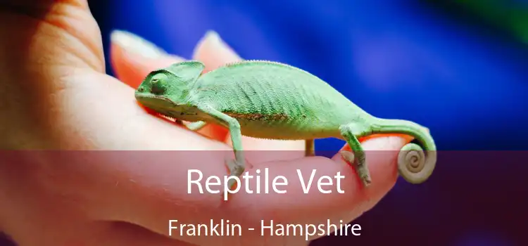 Reptile Vet Franklin - Hampshire