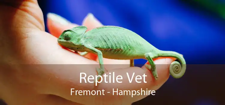 Reptile Vet Fremont - Hampshire