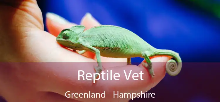 Reptile Vet Greenland - Hampshire