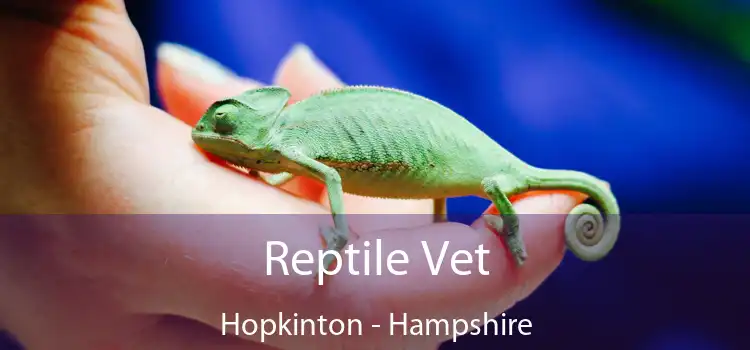 Reptile Vet Hopkinton - Hampshire