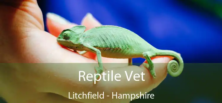 Reptile Vet Litchfield - Hampshire