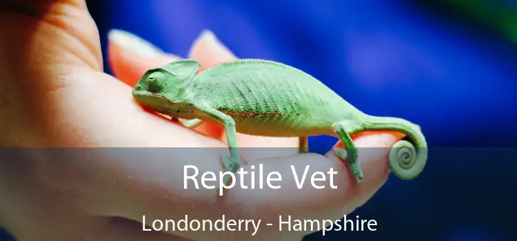 Reptile Vet Londonderry - Hampshire