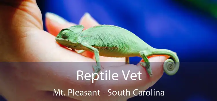 Reptile Vet Mt. Pleasant - South Carolina