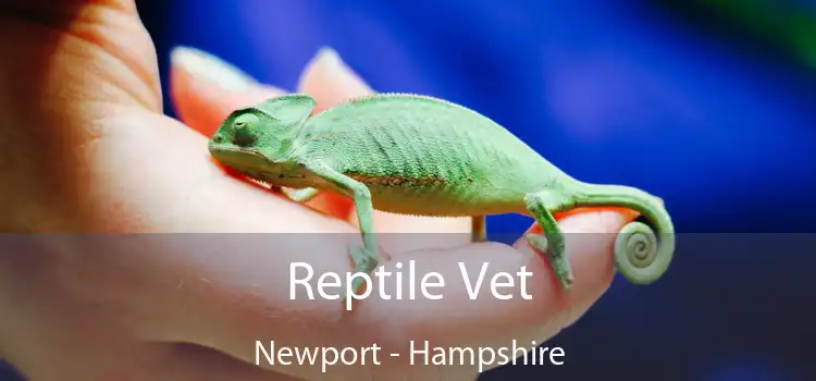 Reptile Vet Newport - Hampshire