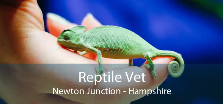 Reptile Vet Newton Junction - Hampshire