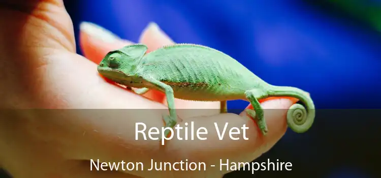 Reptile Vet Newton Junction - Hampshire