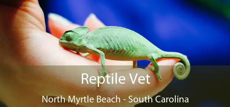 Reptile Vet North Myrtle Beach - South Carolina