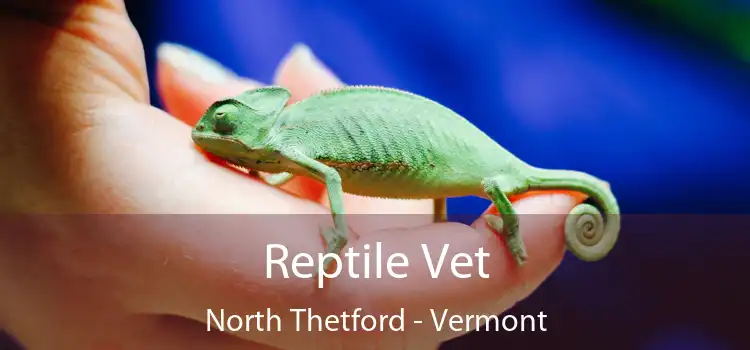 Reptile Vet North Thetford - Vermont