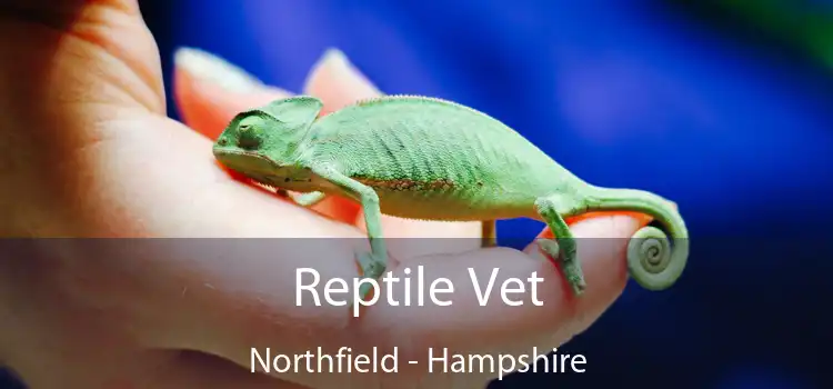 Reptile Vet Northfield - Hampshire