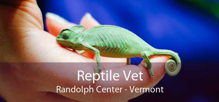 Reptile Vet Randolph Center - Vermont