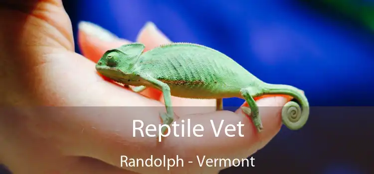 Reptile Vet Randolph - Vermont