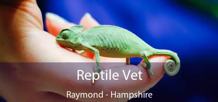 Reptile Vet Raymond - Hampshire