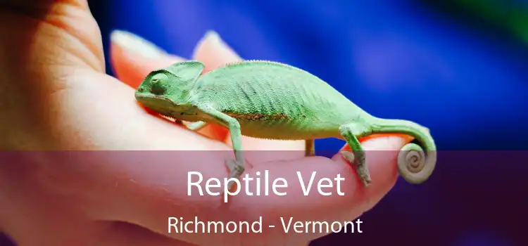 Reptile Vet Richmond - Vermont