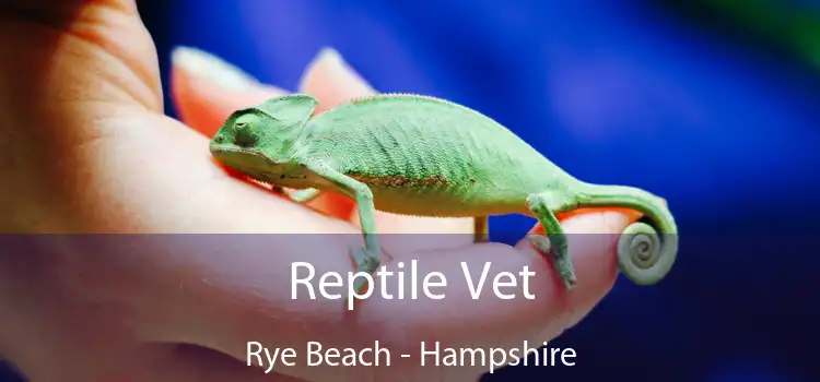 Reptile Vet Rye Beach - Hampshire