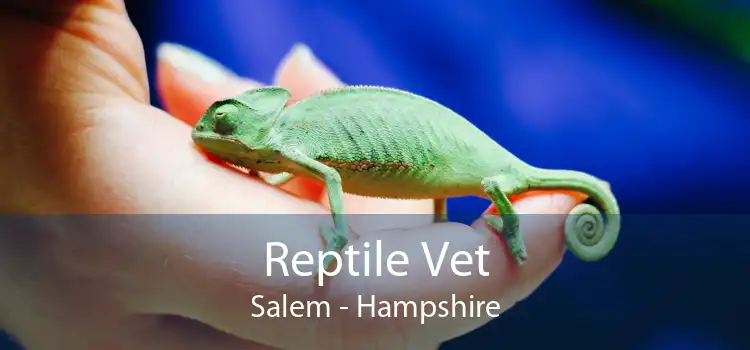 Reptile Vet Salem - Hampshire